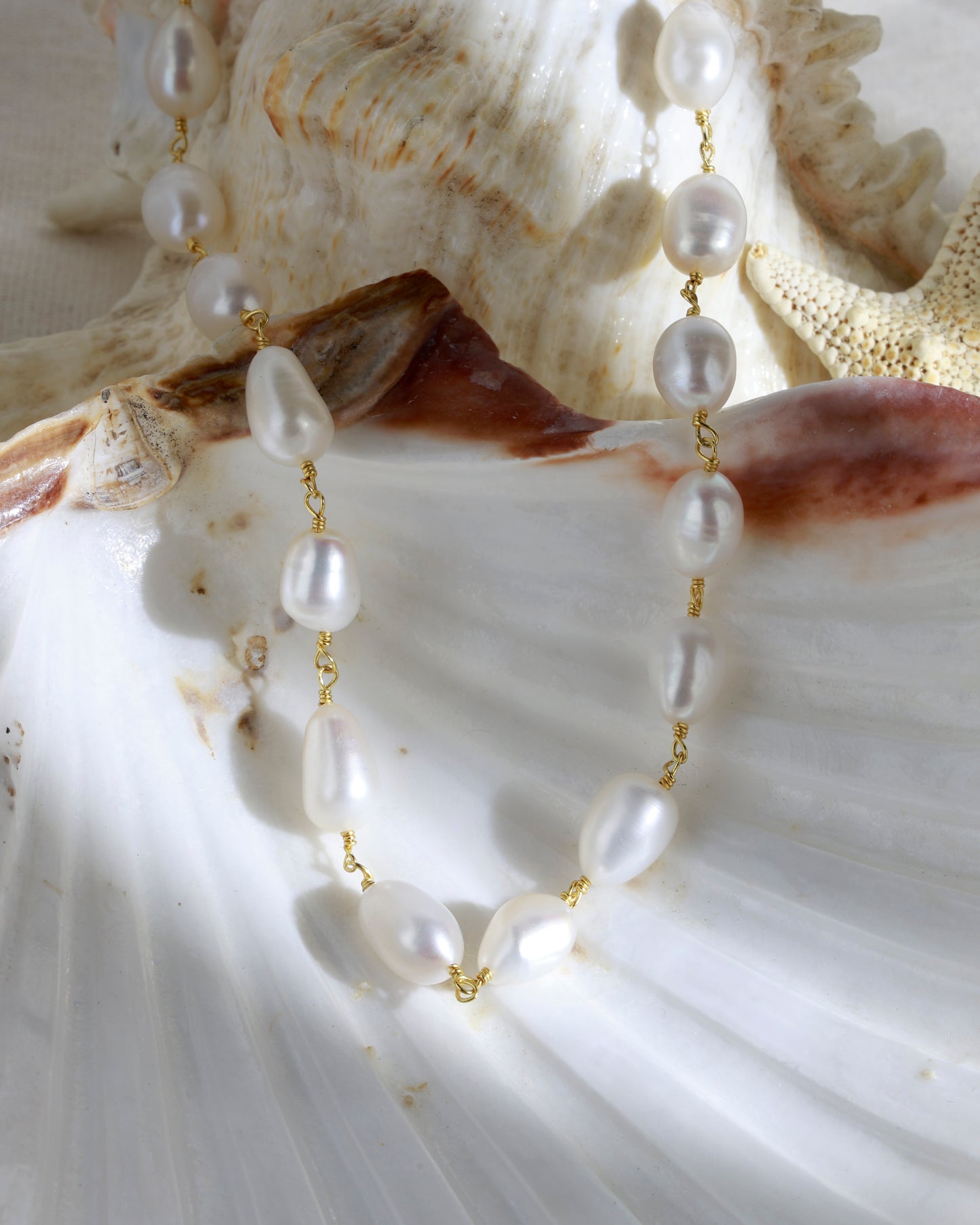 Pearl necklace with gold chain on a seashell background