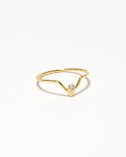 Fern Ring Set